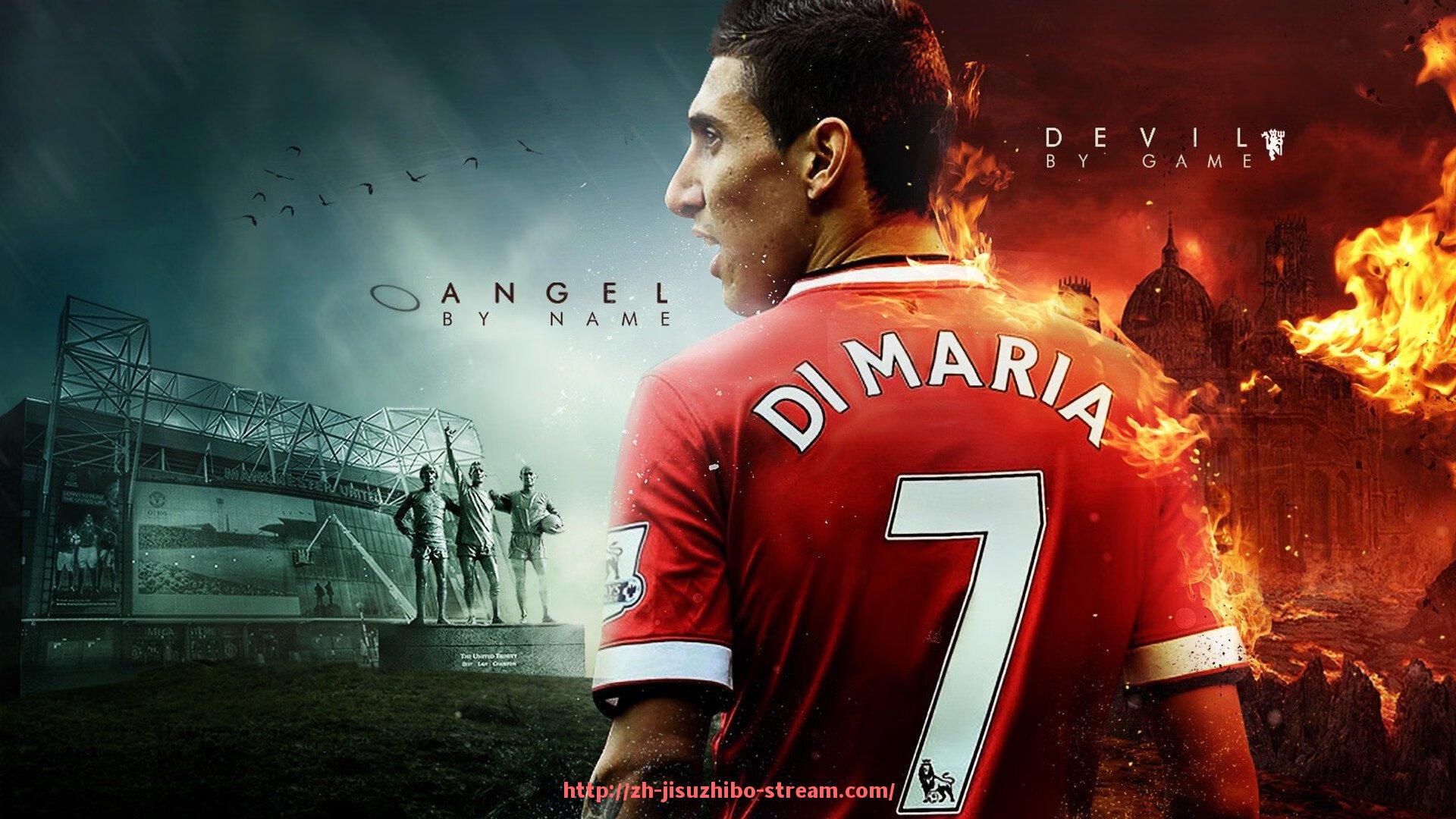 极速直播-实惠型健身器材网店推荐：体育装备采购省钱方案